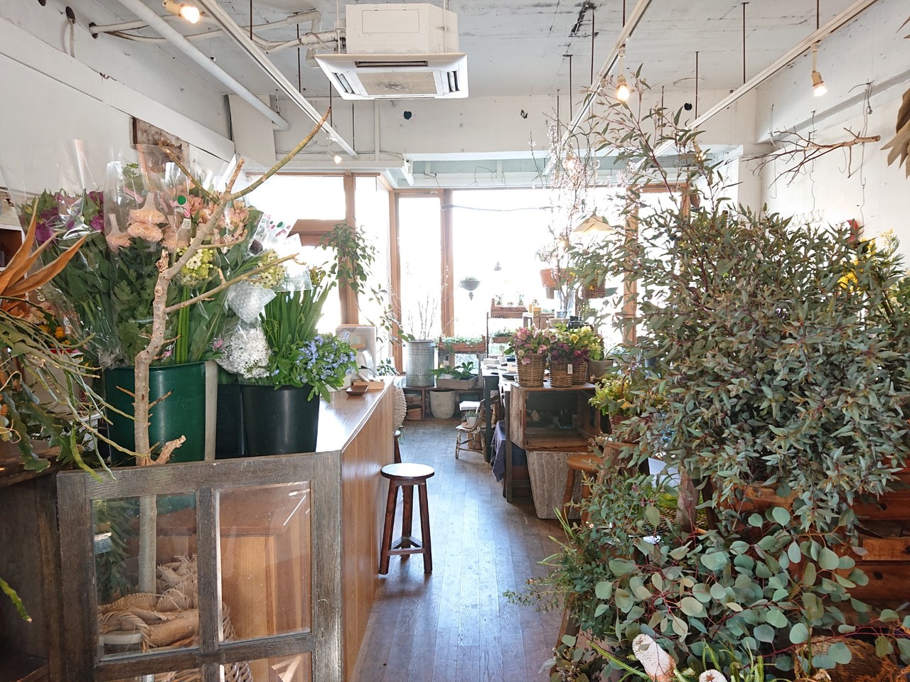 はなひよ 花と雑貨 高松市 マユリ ナの暇つぶし 香川と福岡 食べ歩き はなひよ 花と雑貨 高松市 マユリ ナの暇つぶし 香川と福岡 食べ歩き