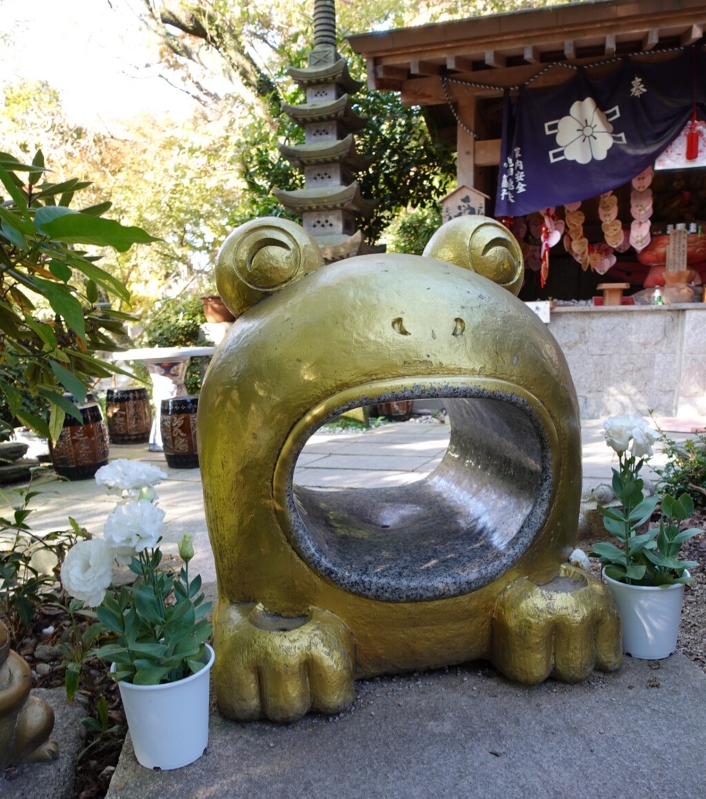 DSC03019