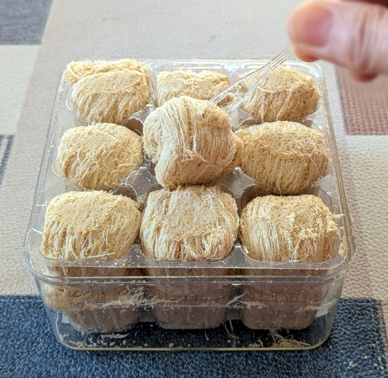 ぼかし丸_20250507_124816