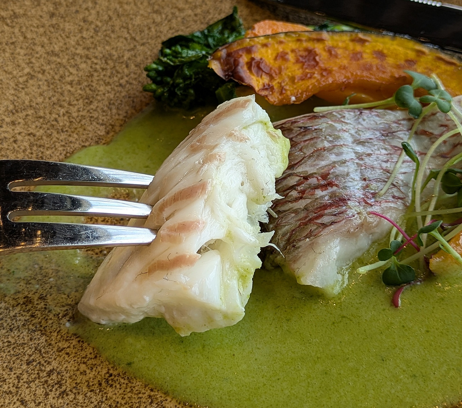 Polish_20260212_144812972