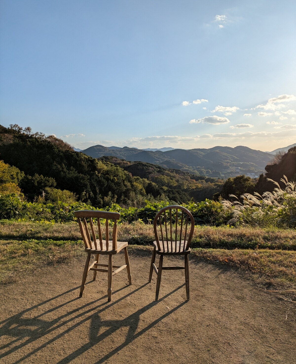 PXL_20251128_063333065