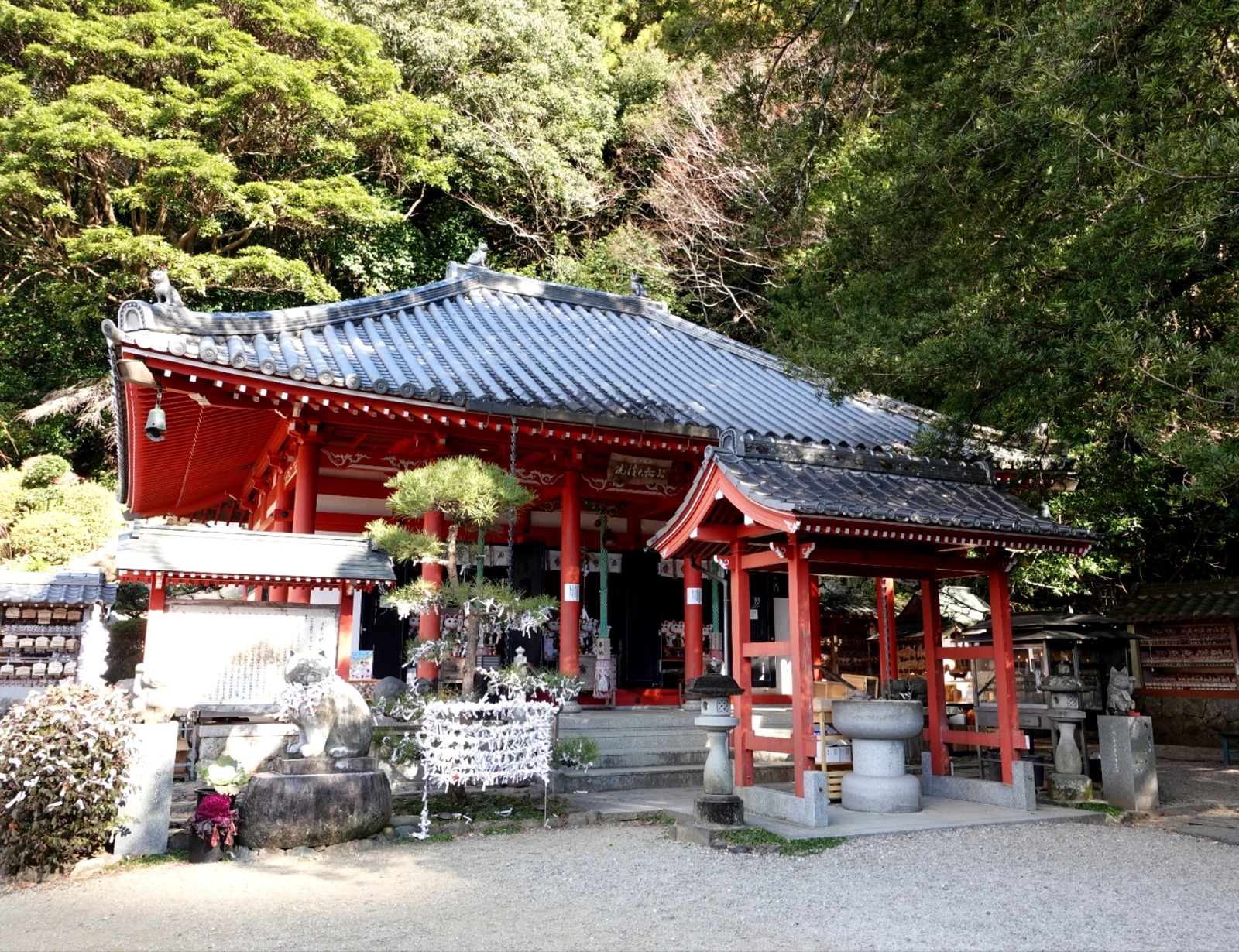 Polish_20260113_161341634