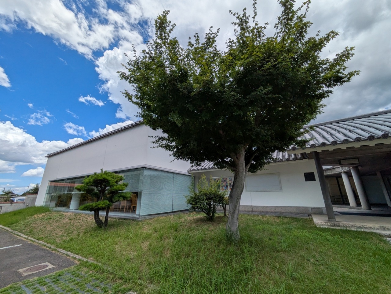 PXL_20250726_040912555