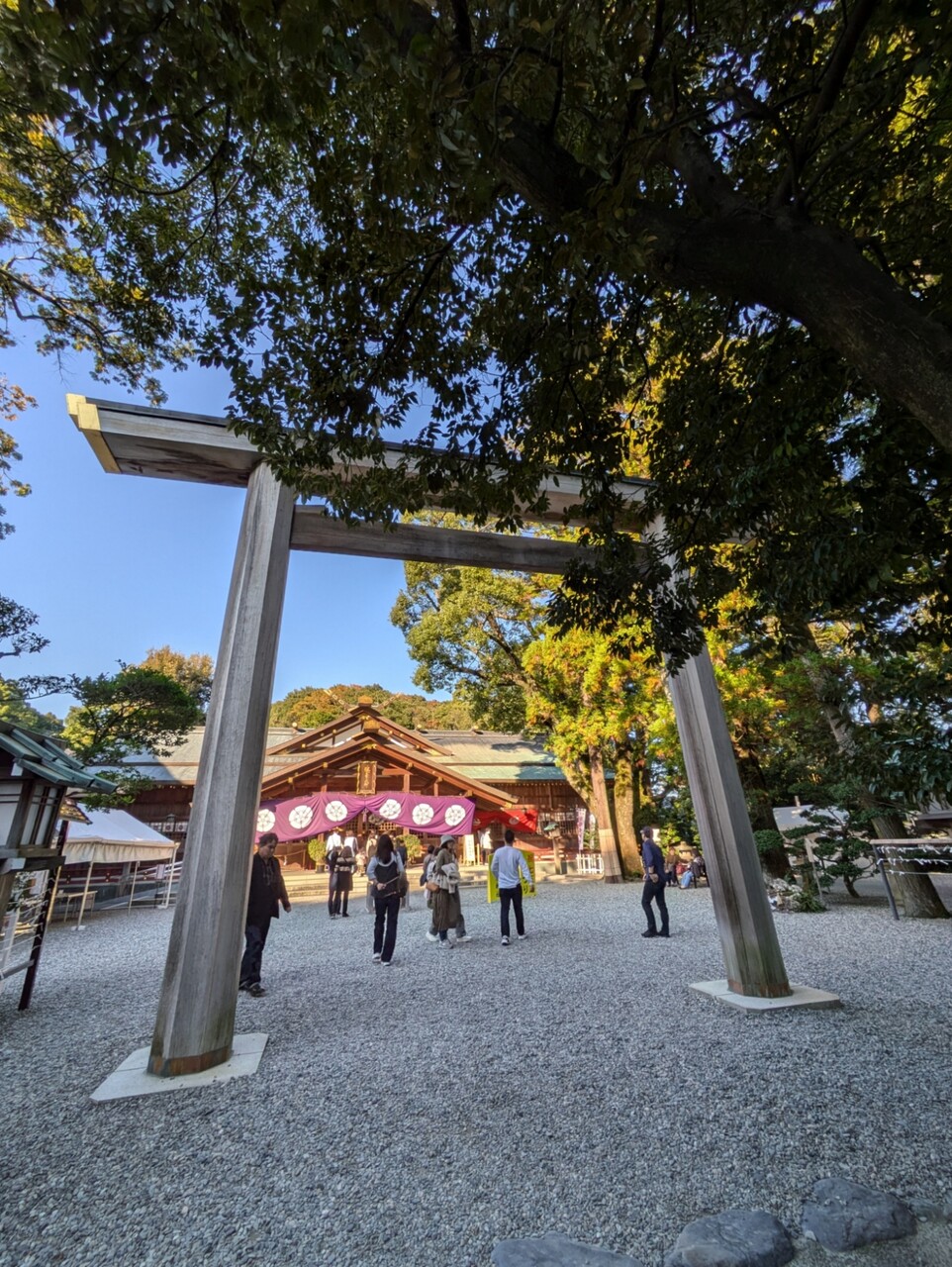 PXL_20241112_053723816