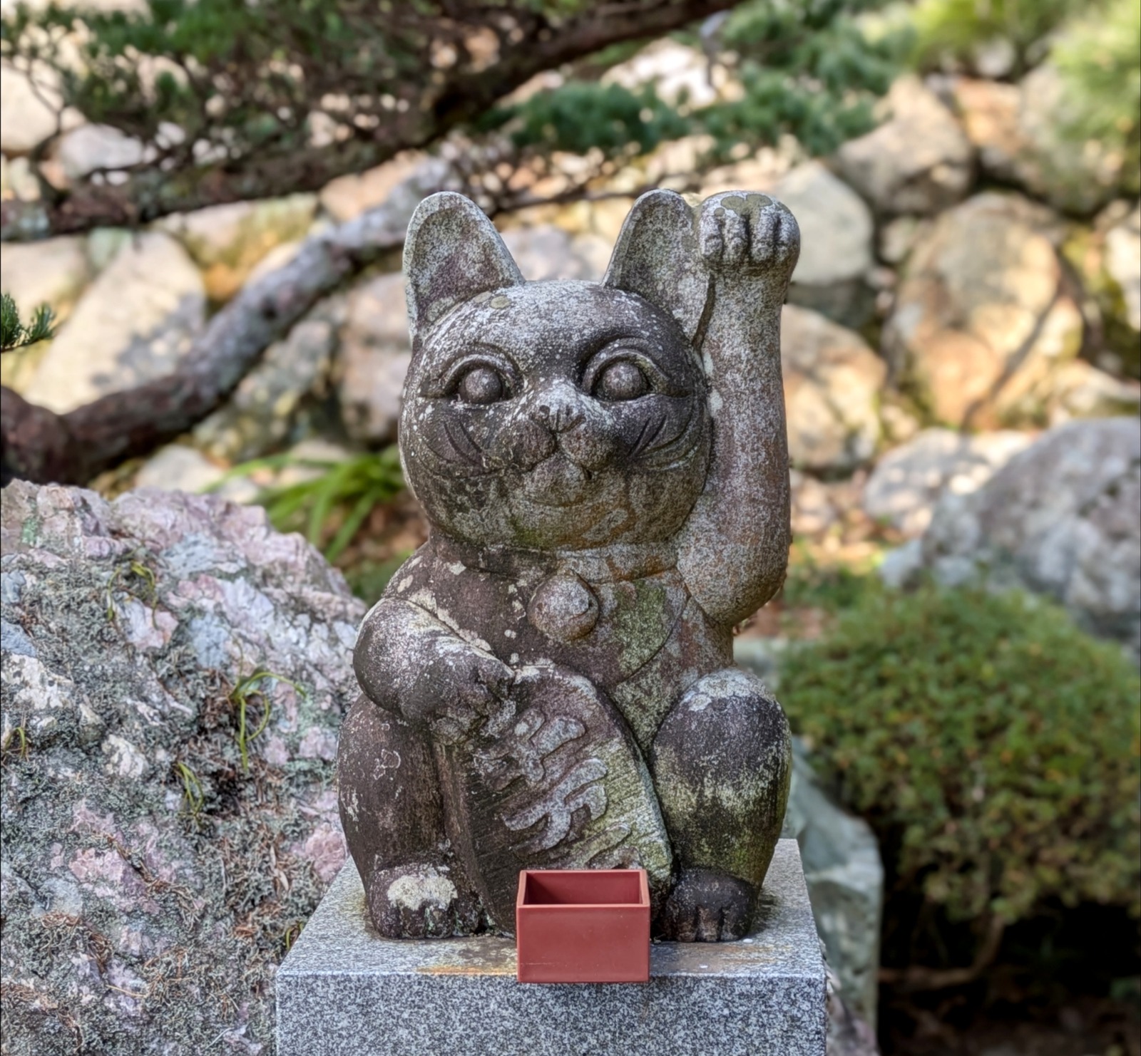 Polish_20260113_171130963