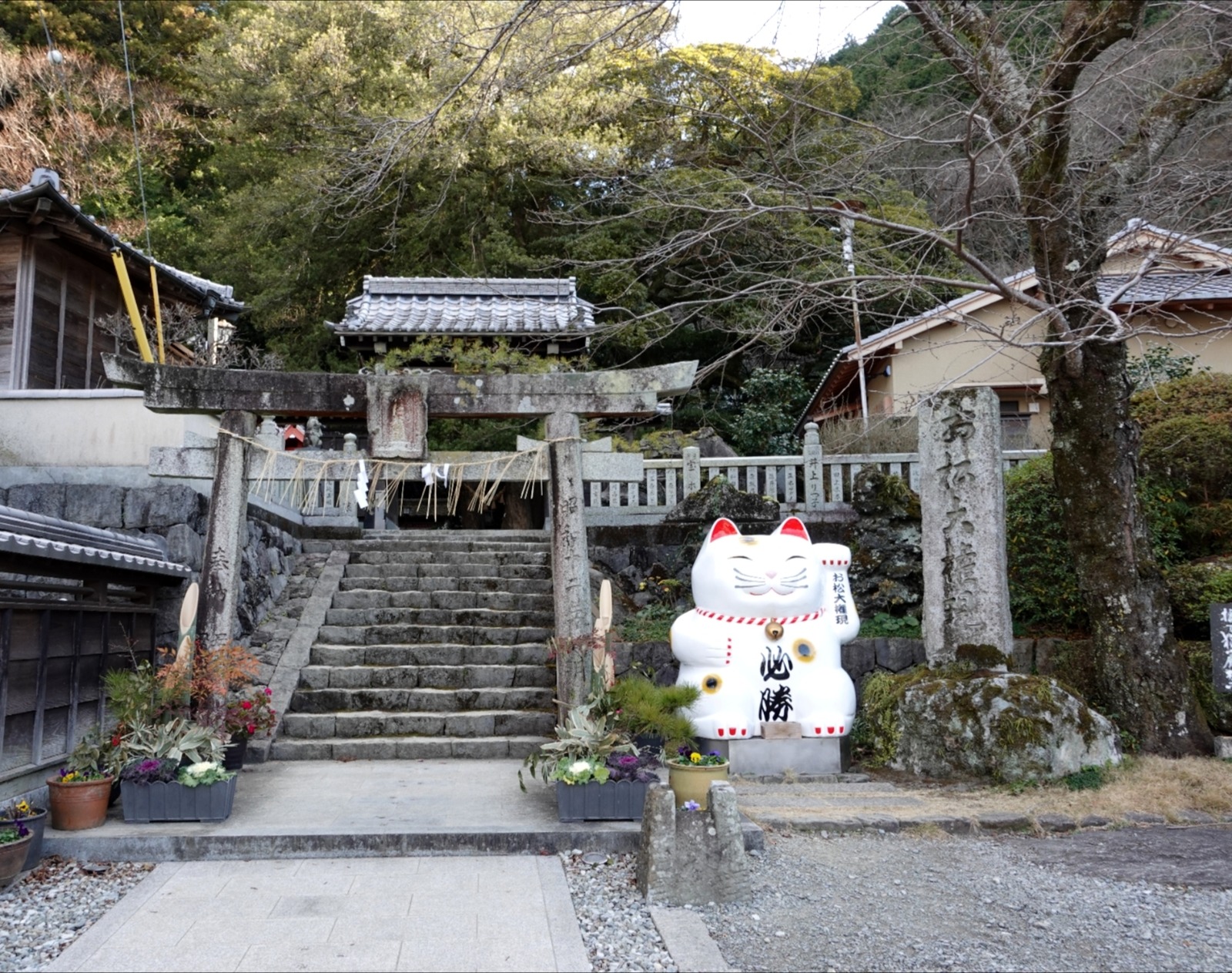 Polish_20260113_155734379