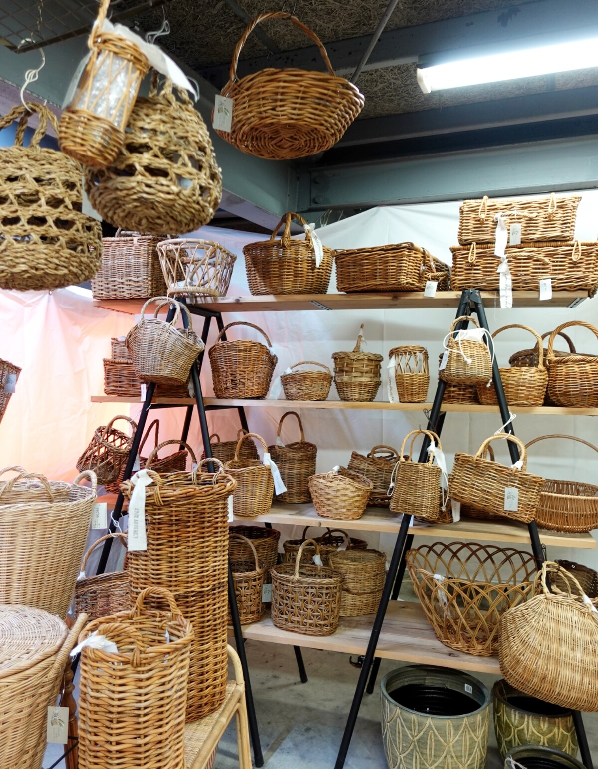 Polish_20260405_104136964