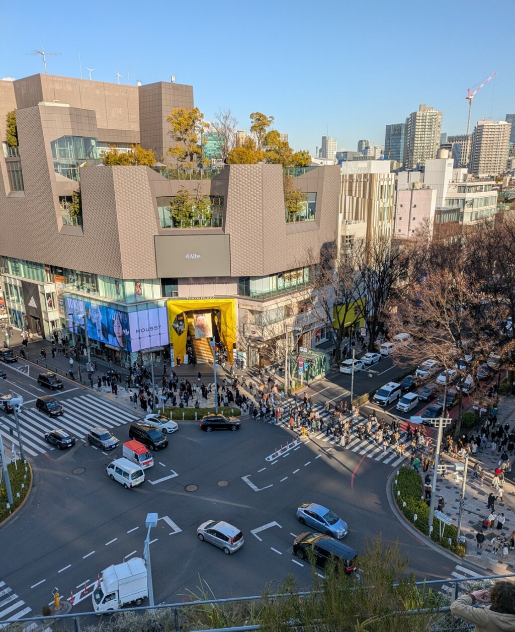 PXL_20250210_061827511