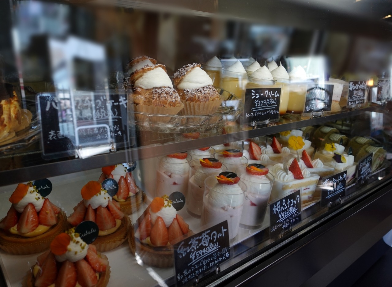 ぼかし丸_20240410_174722