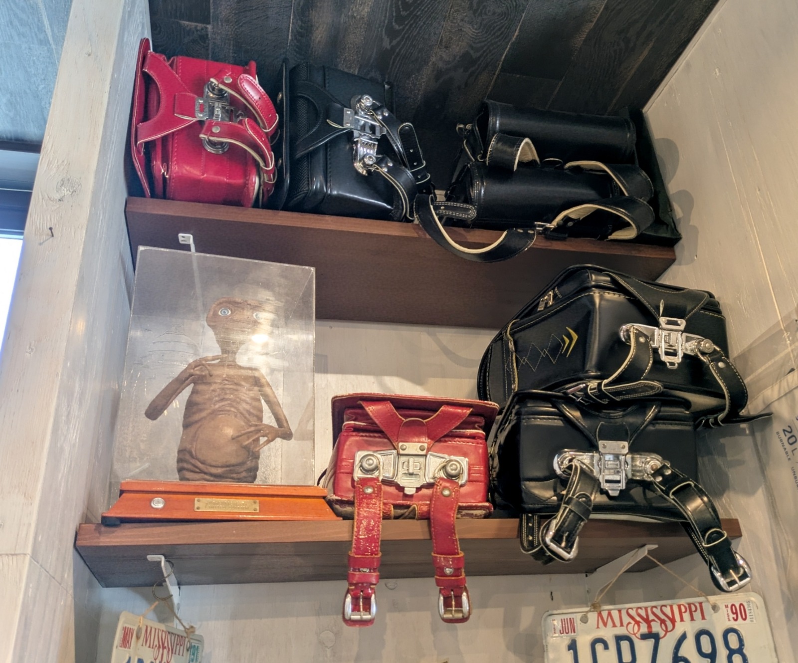 Polish_20260331_140813551