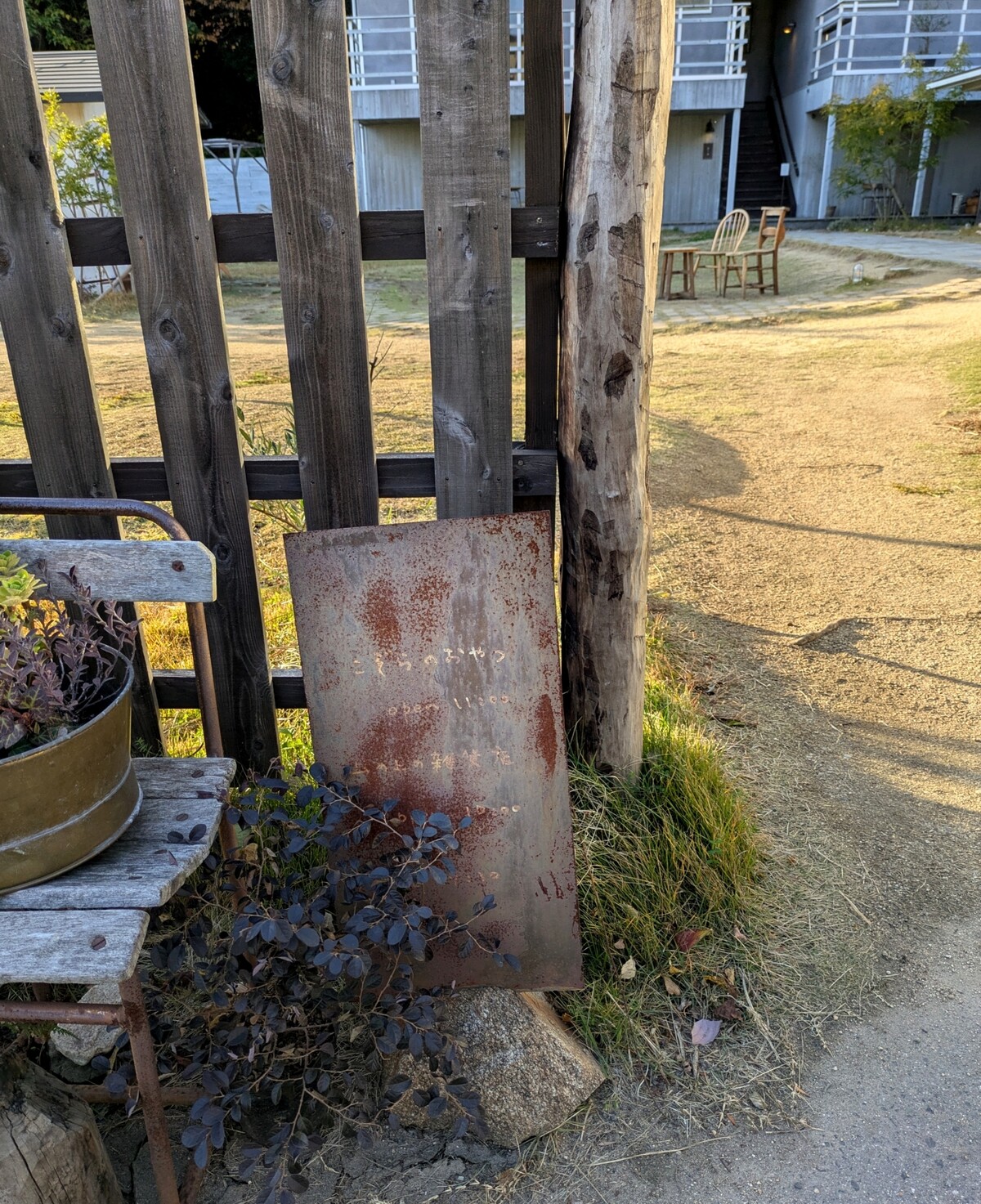 PXL_20251128_063411635