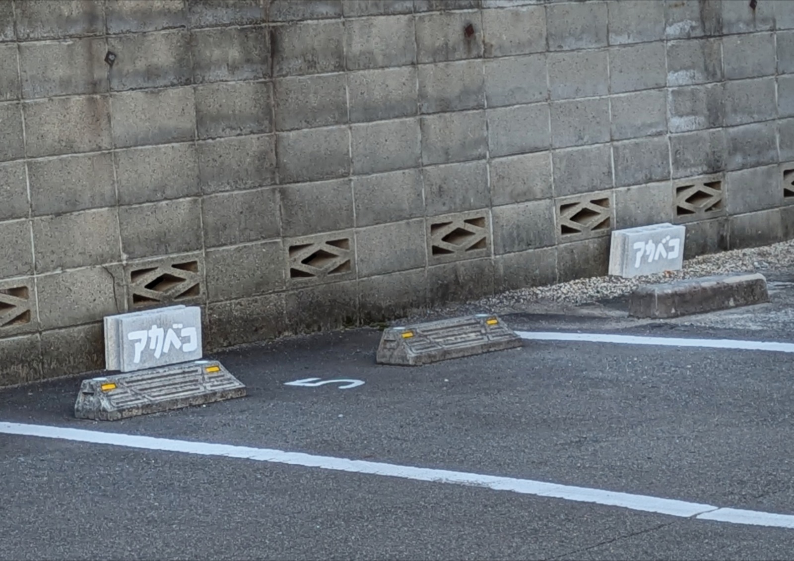 Polish_20260204_153832386