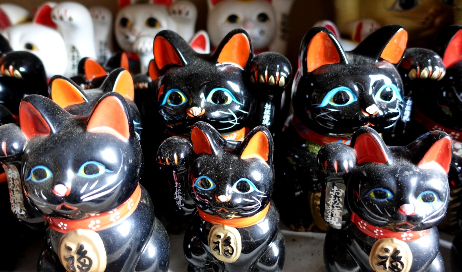 Polish_20260113_160238074