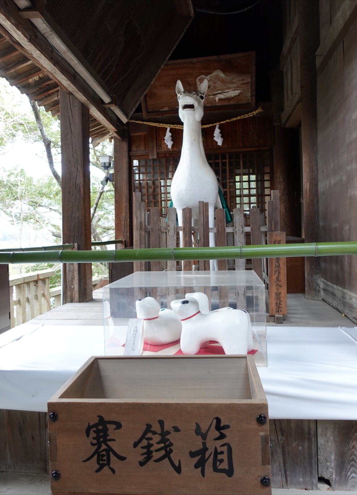 Polish_20260104_172711547