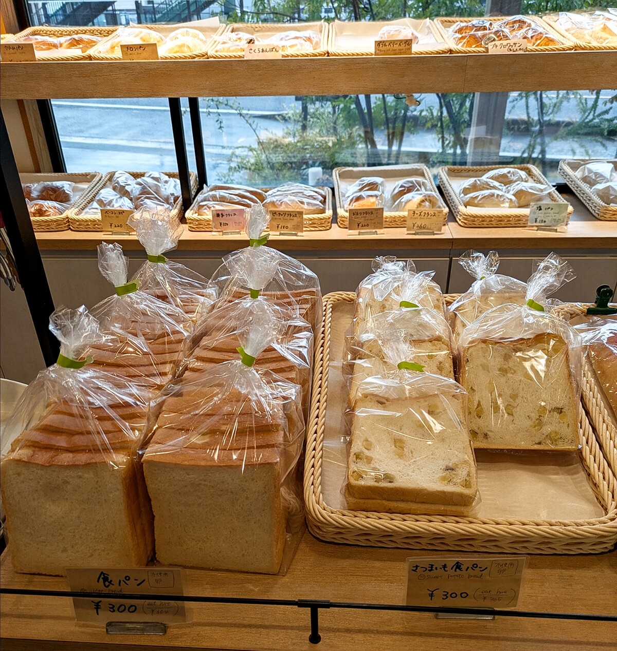 Polish_20260225_121334266