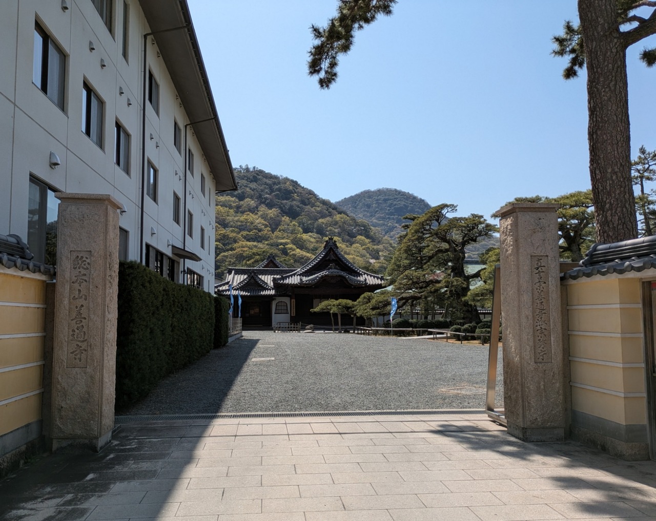 PXL_20250407_045505893