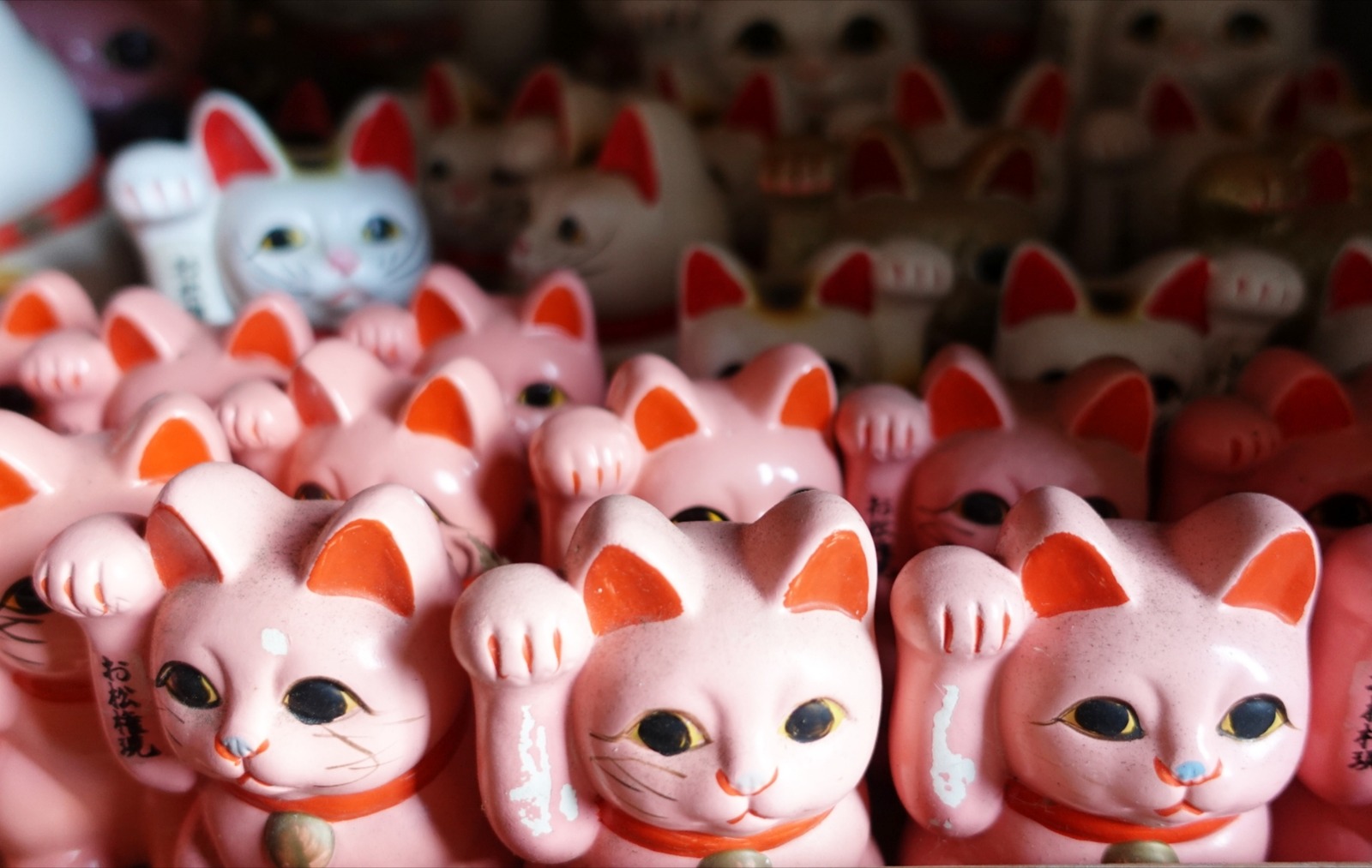 Polish_20260113_160214389