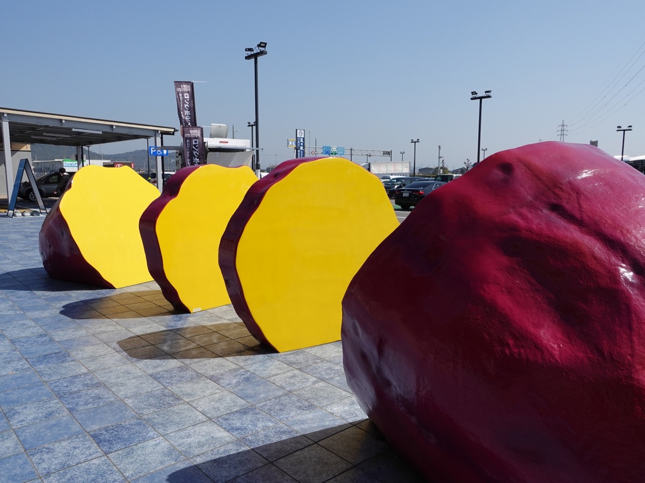 DSC01541_1