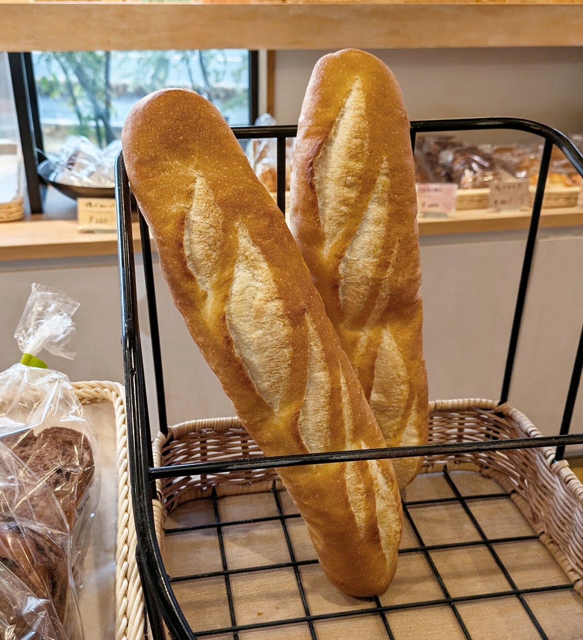 Polish_20260225_121655636