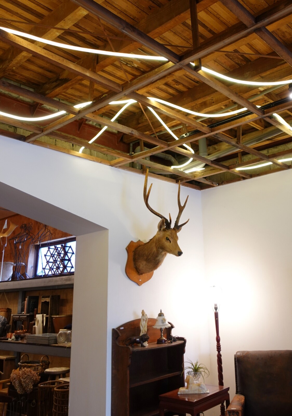 Polish_20251205_140756156