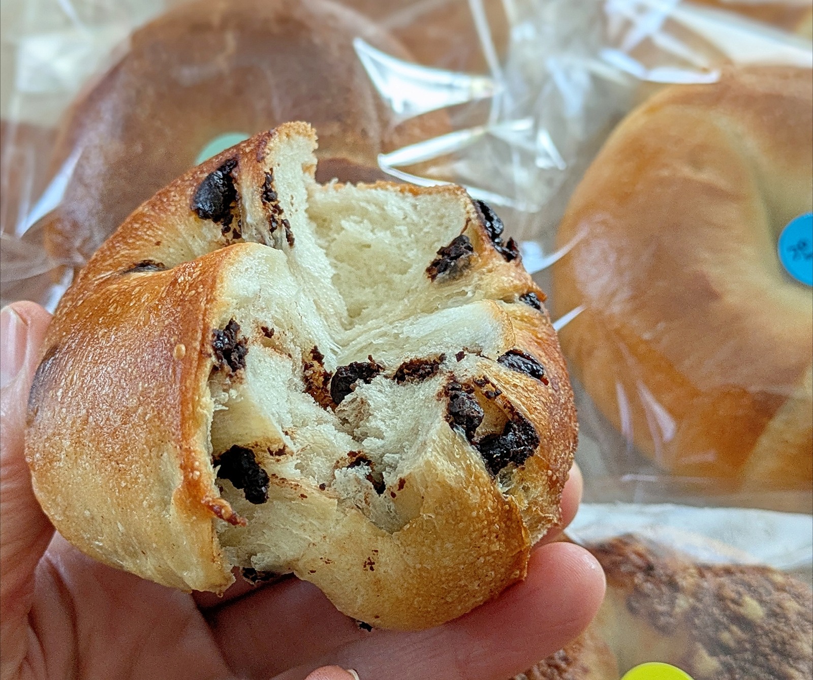 Polish_20260223_125311679