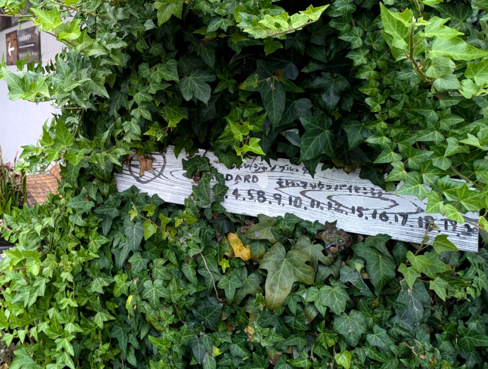 PXL_20251003_040627627