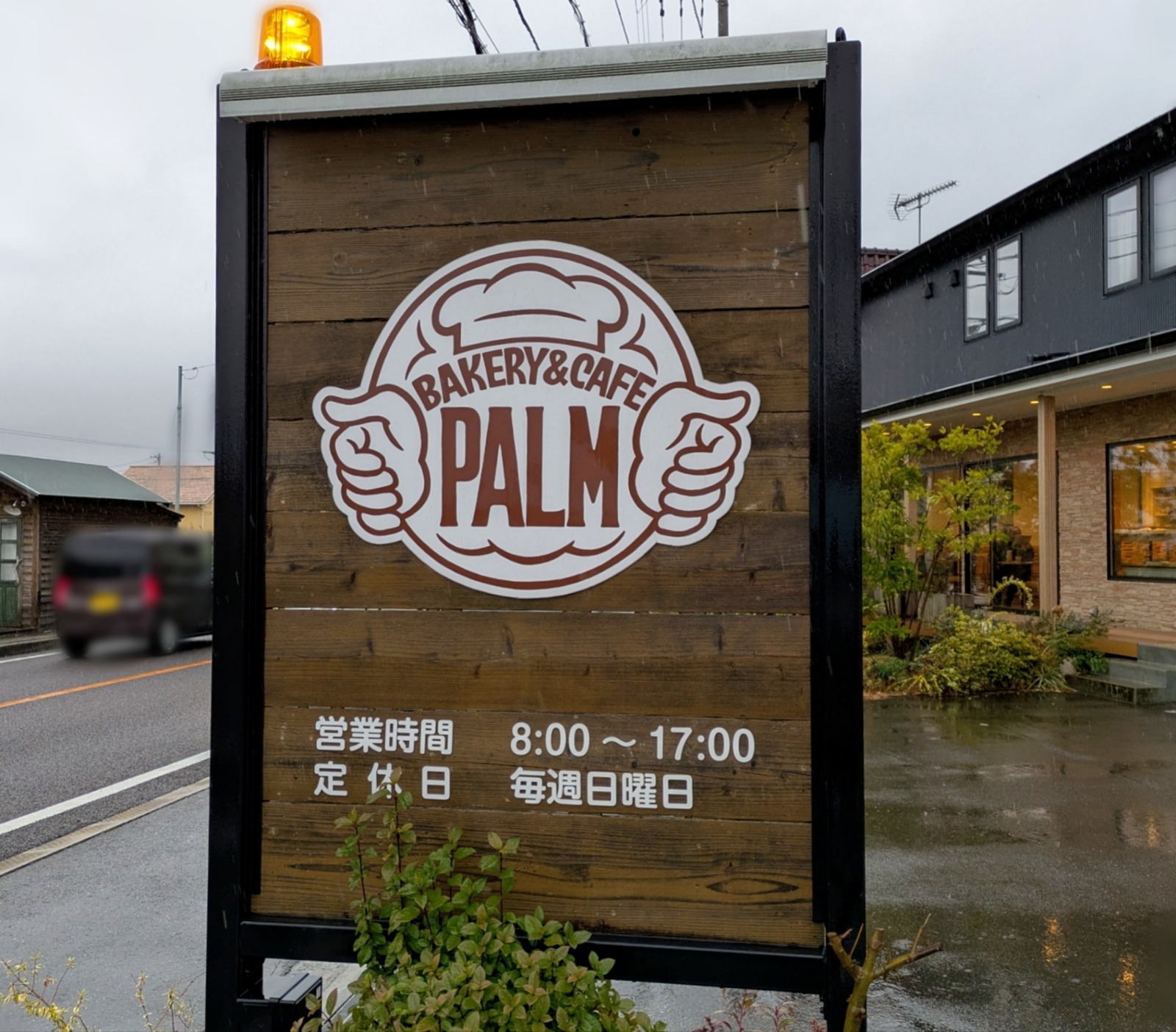 Polish_20260225_120615535