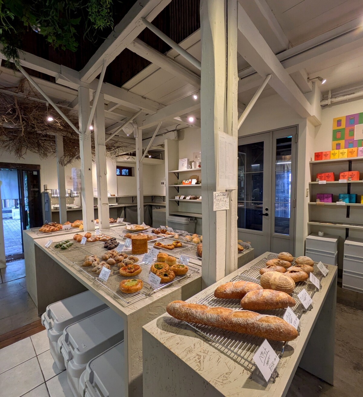 PXL_20251020_045049918