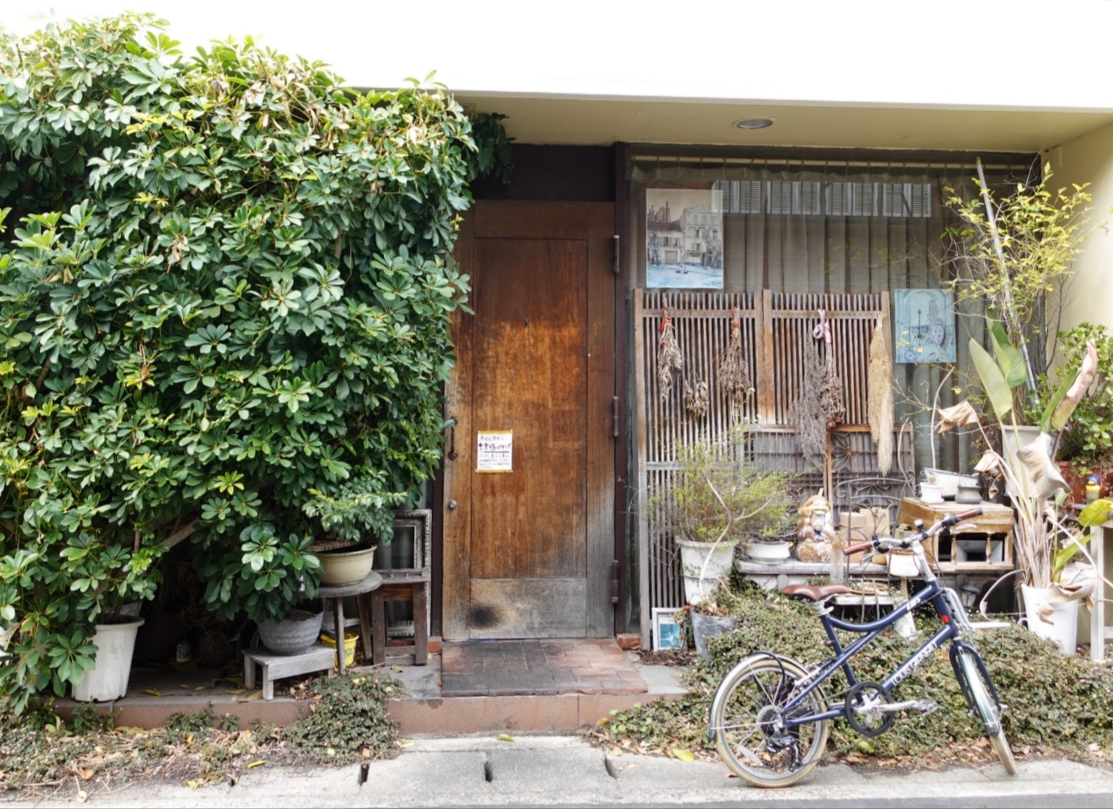 Polish_20260306_204555303