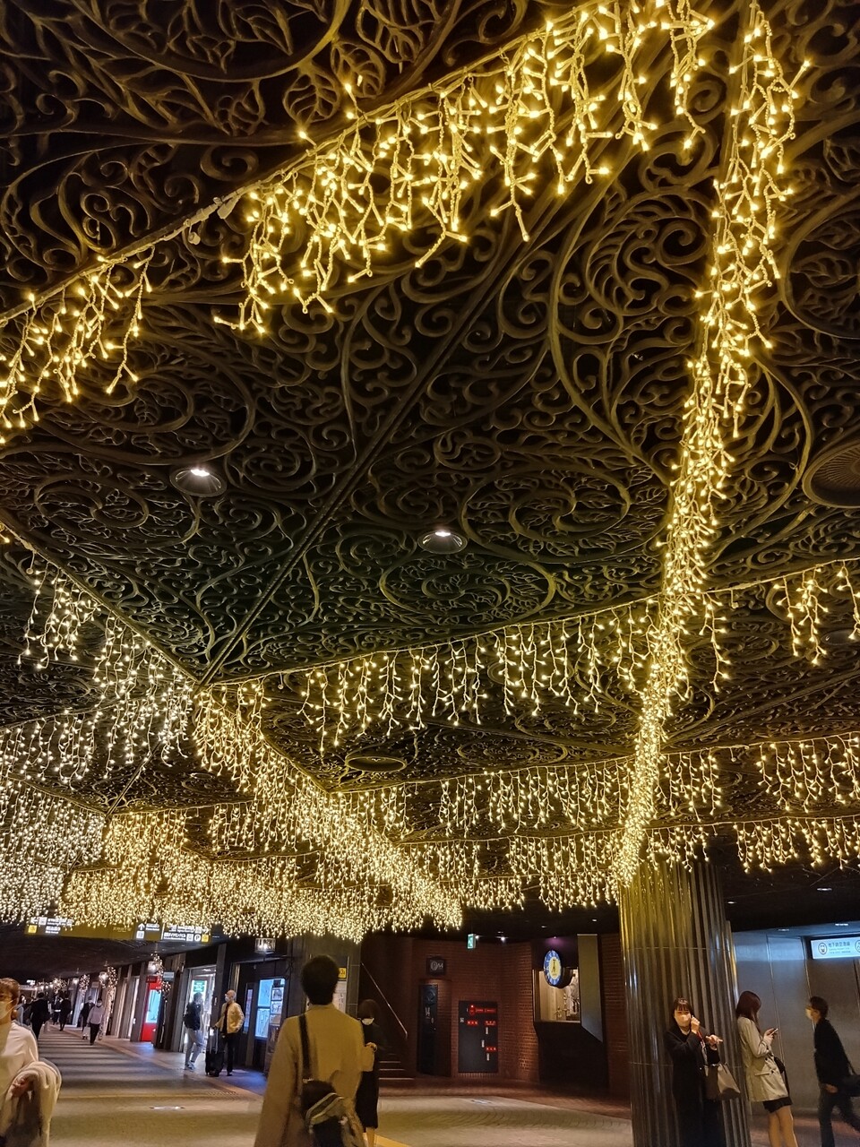 DSC_0188_20221105143614866
