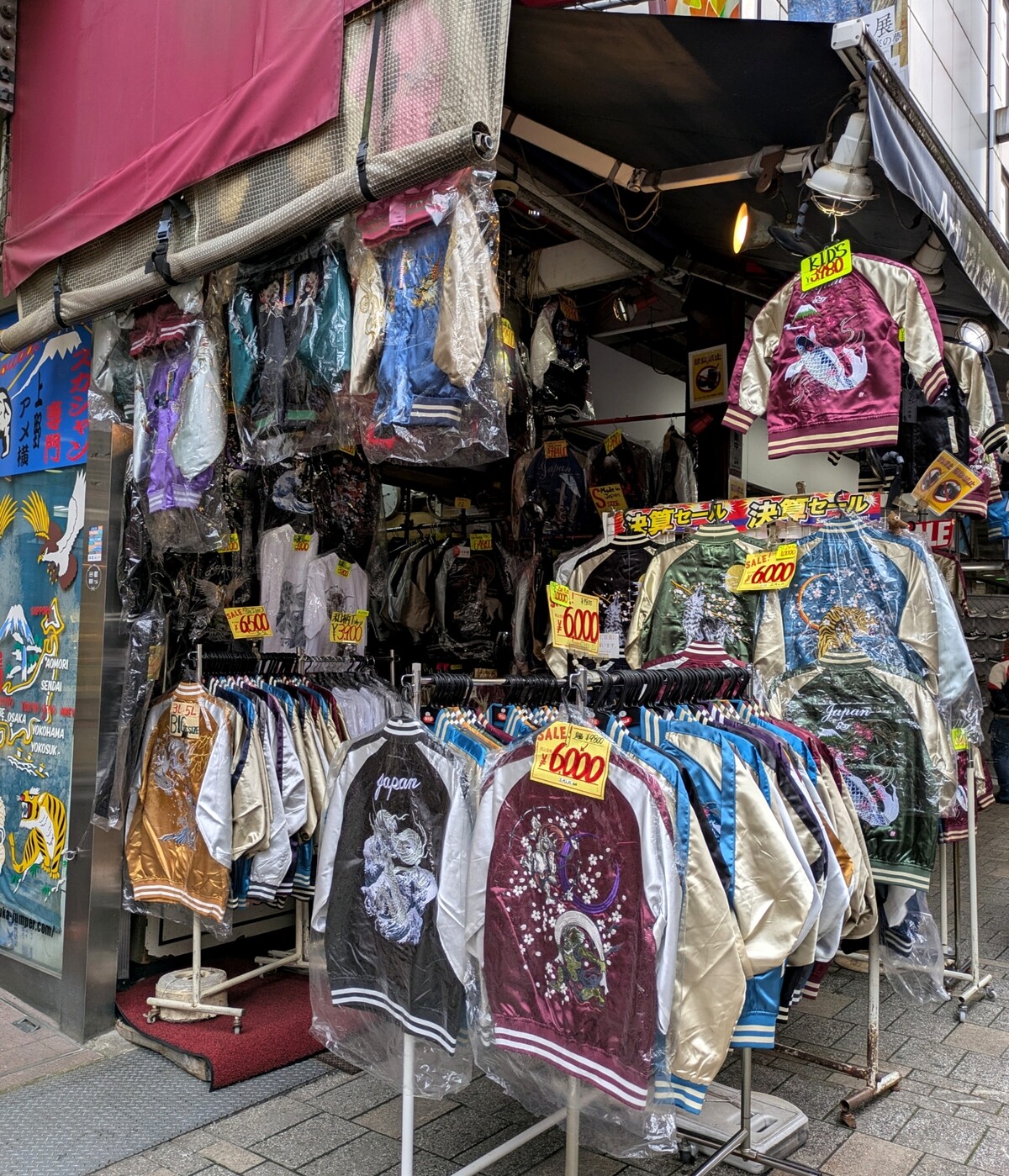 PXL_20251106_053144012