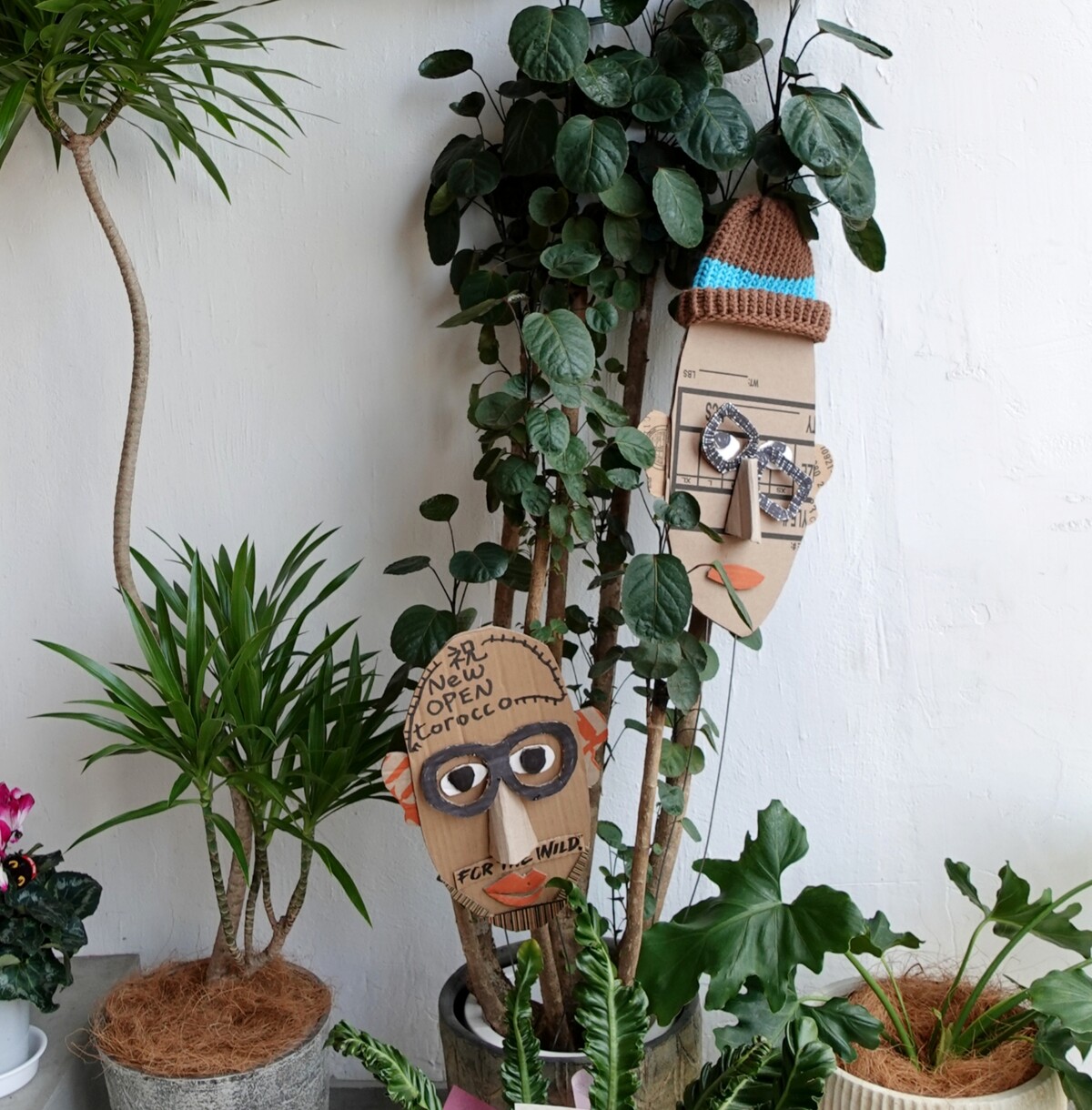 Polish_20251205_134857503