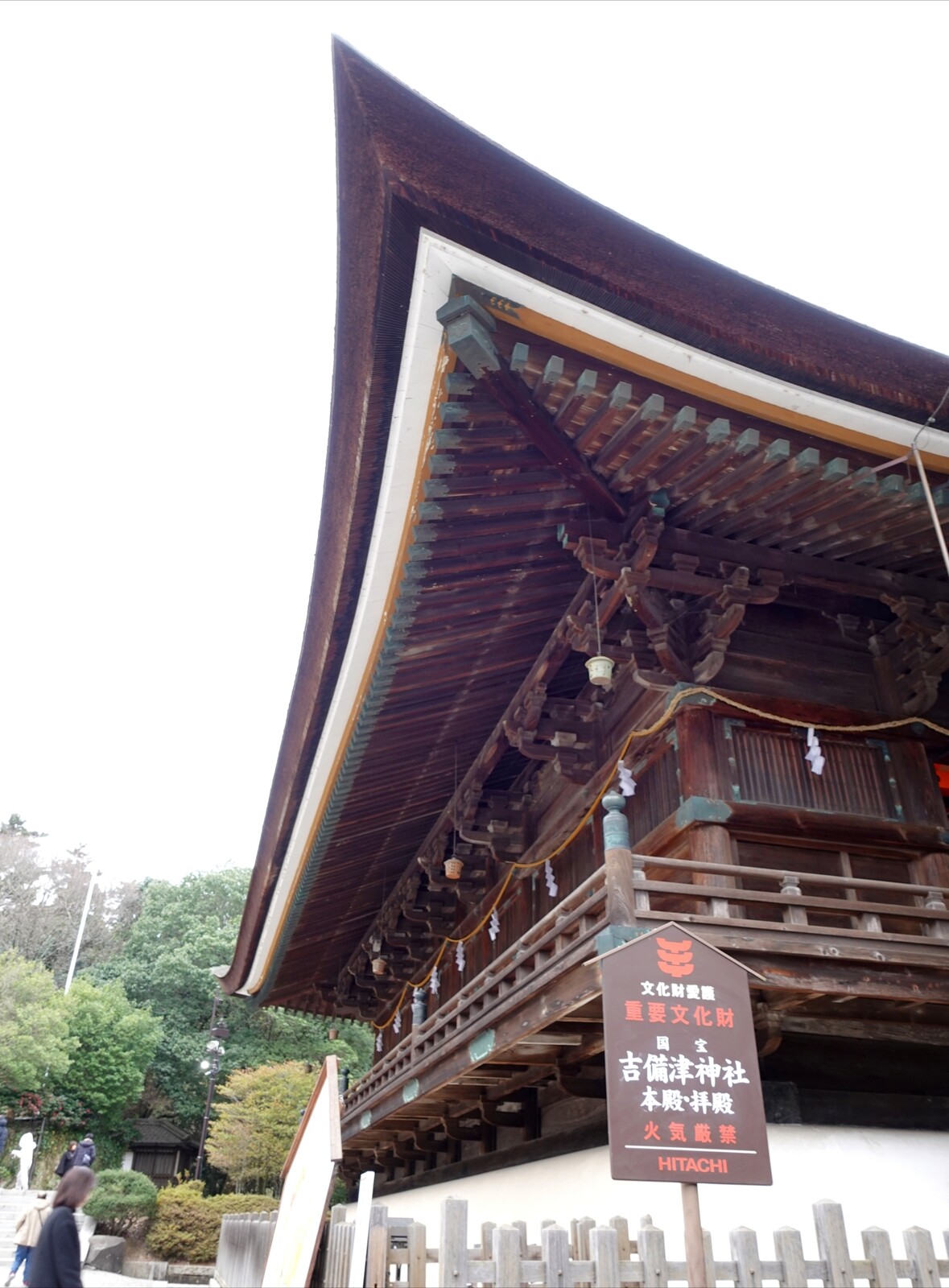 Polish_20260104_172215180