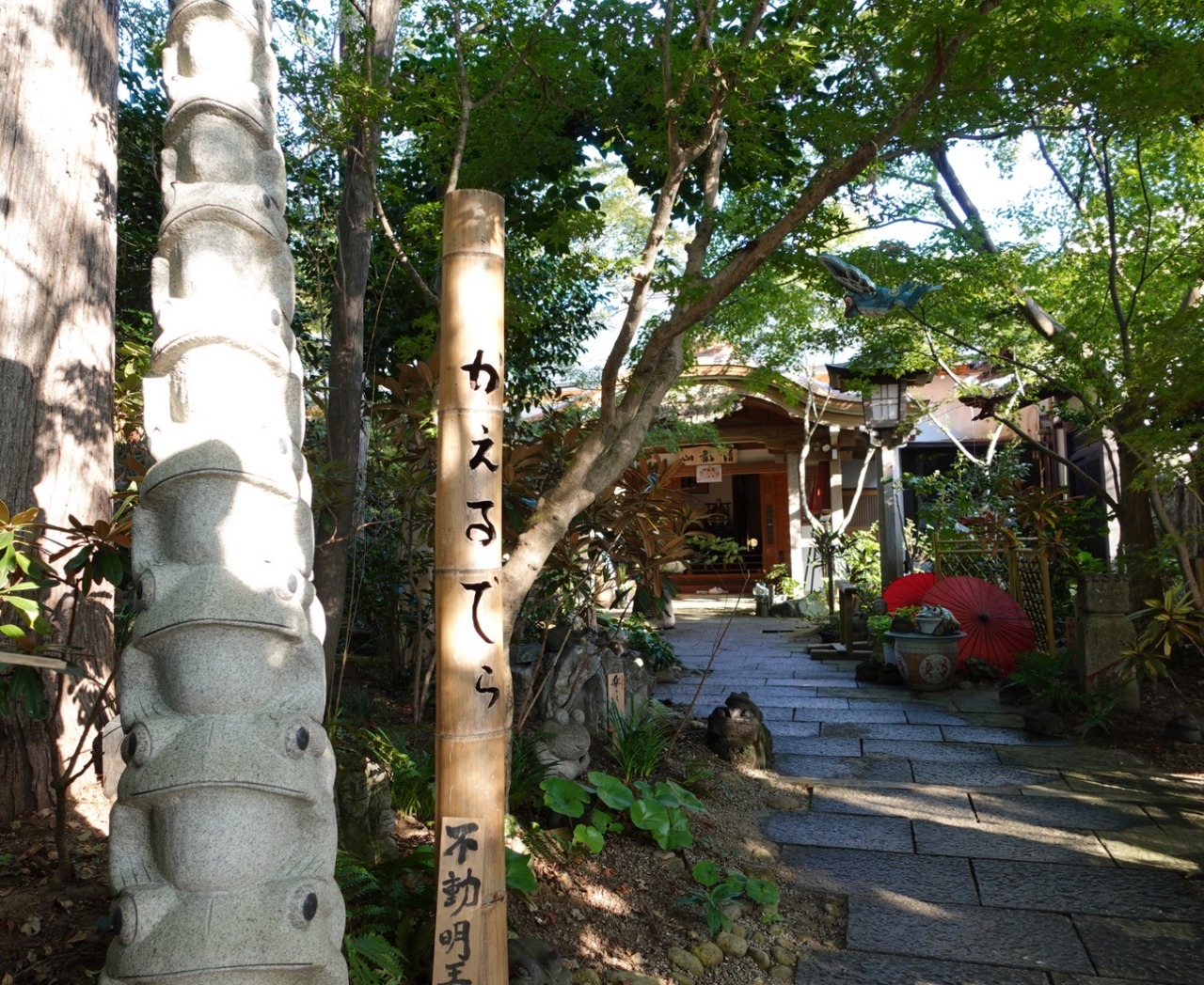 DSC03006