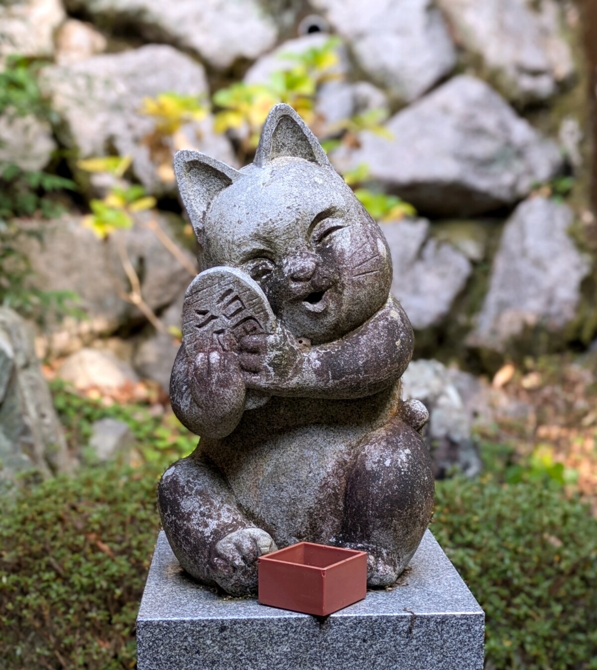 Polish_20260113_162248698