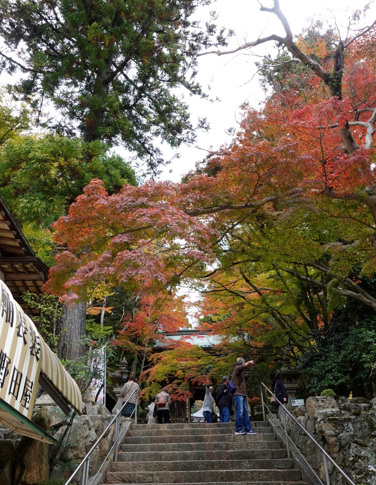 DSC03369_20251112135908103