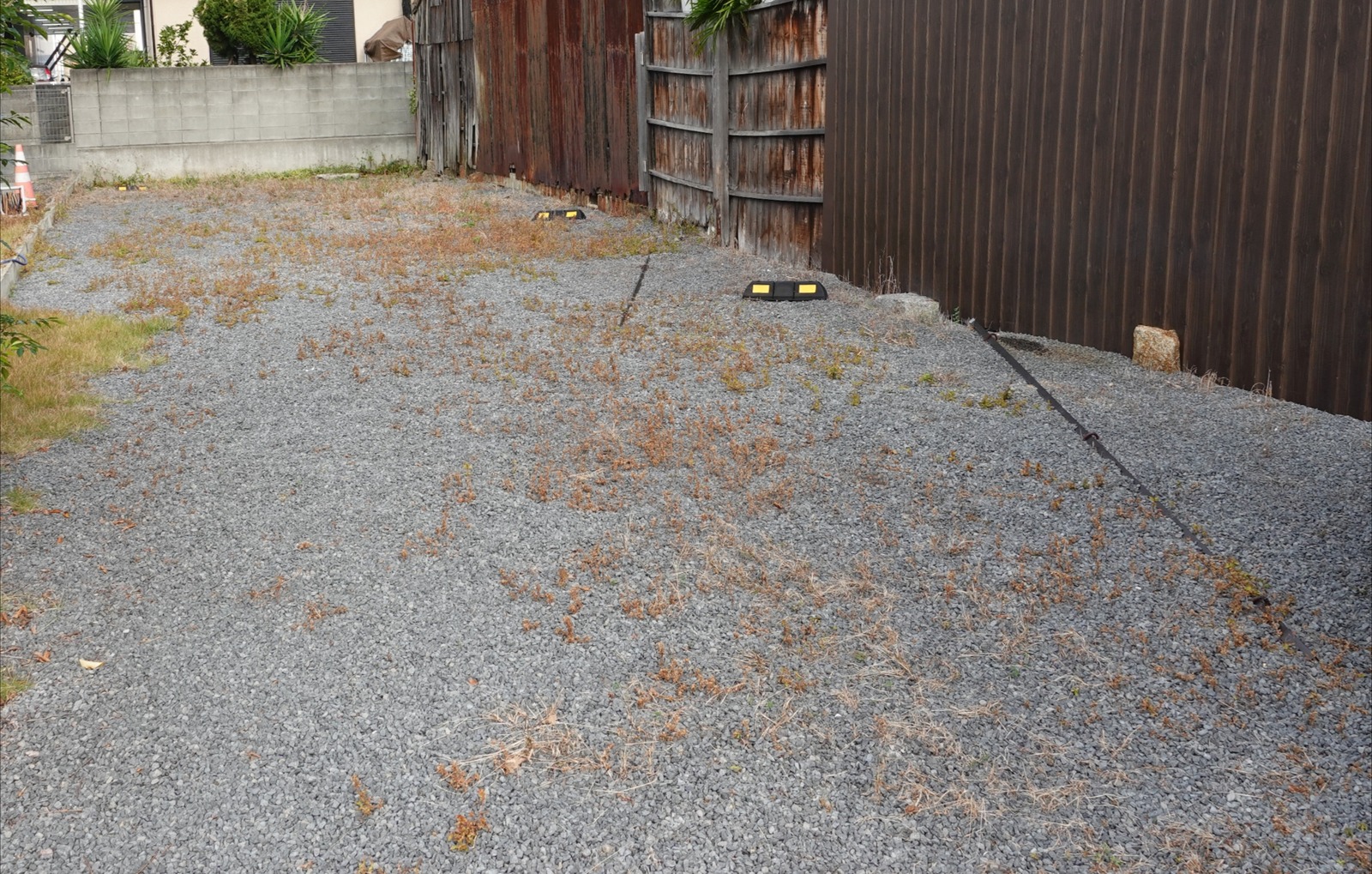 Polish_20251202_180502272