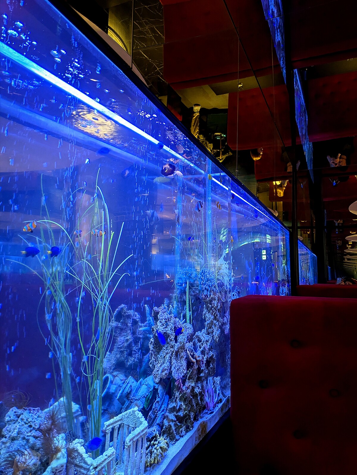 Polish_20260315_211806703