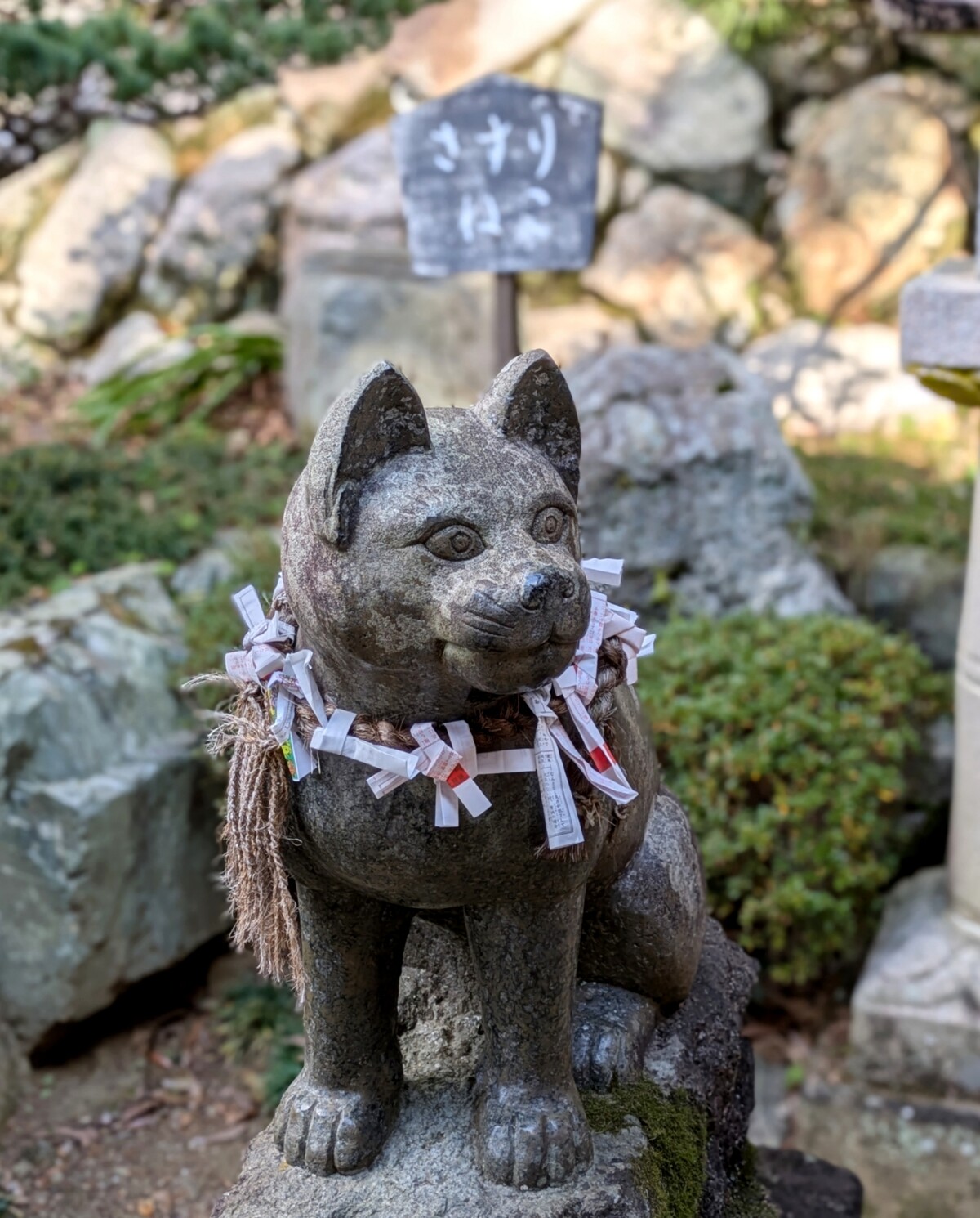 Polish_20260113_162338101