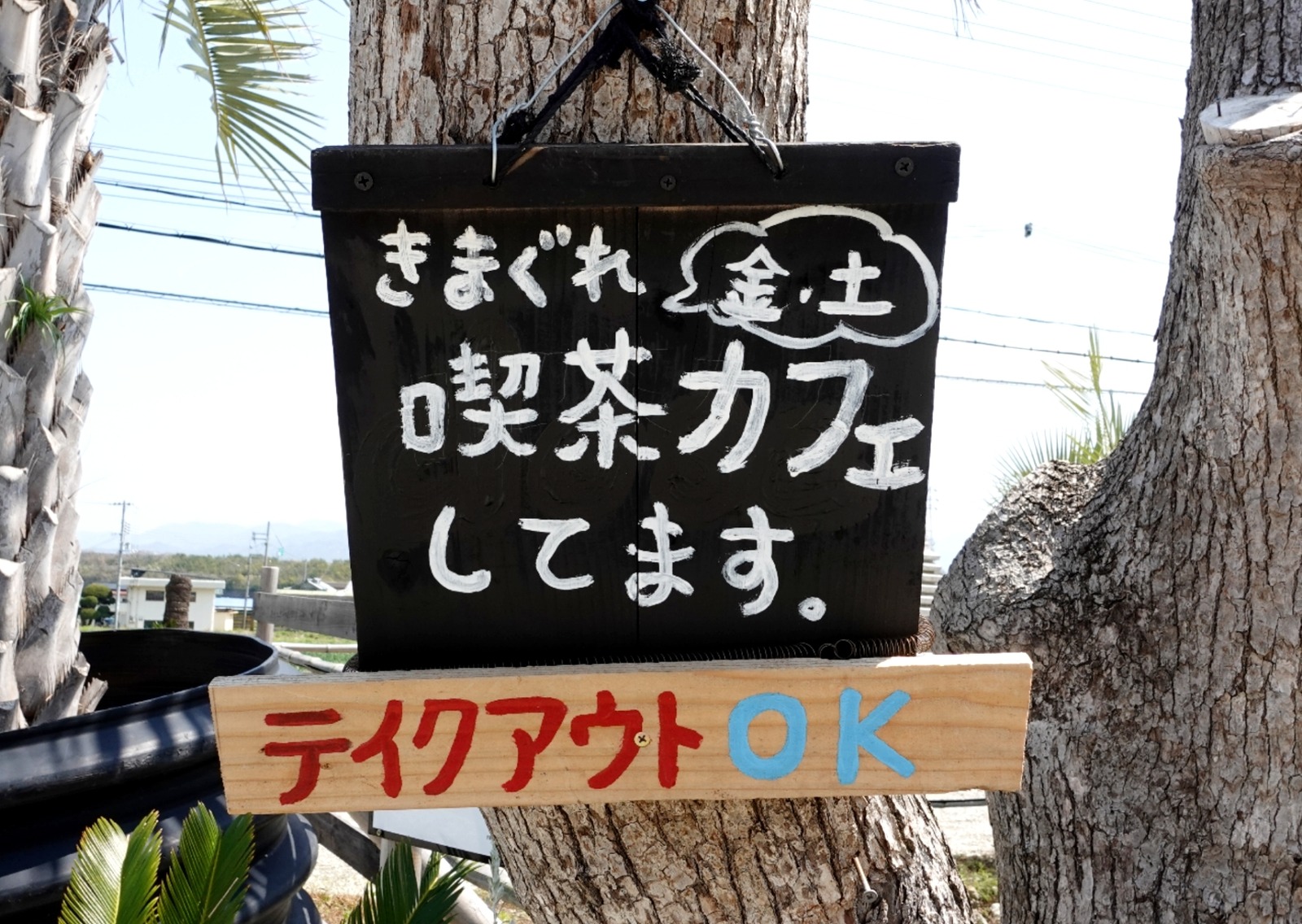 Polish_20260405_081511421