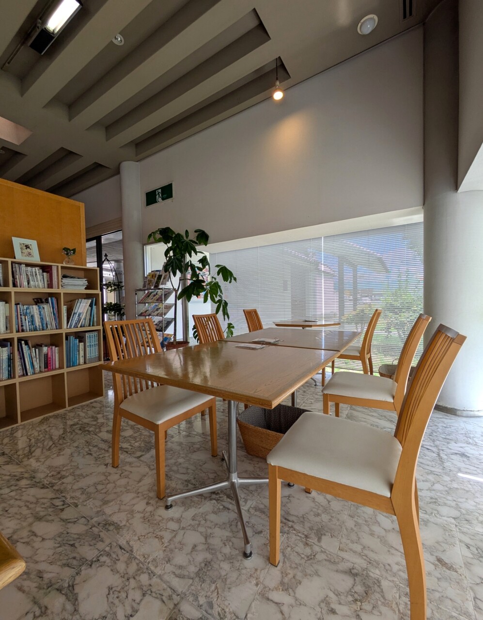 PXL_20250726_042408747