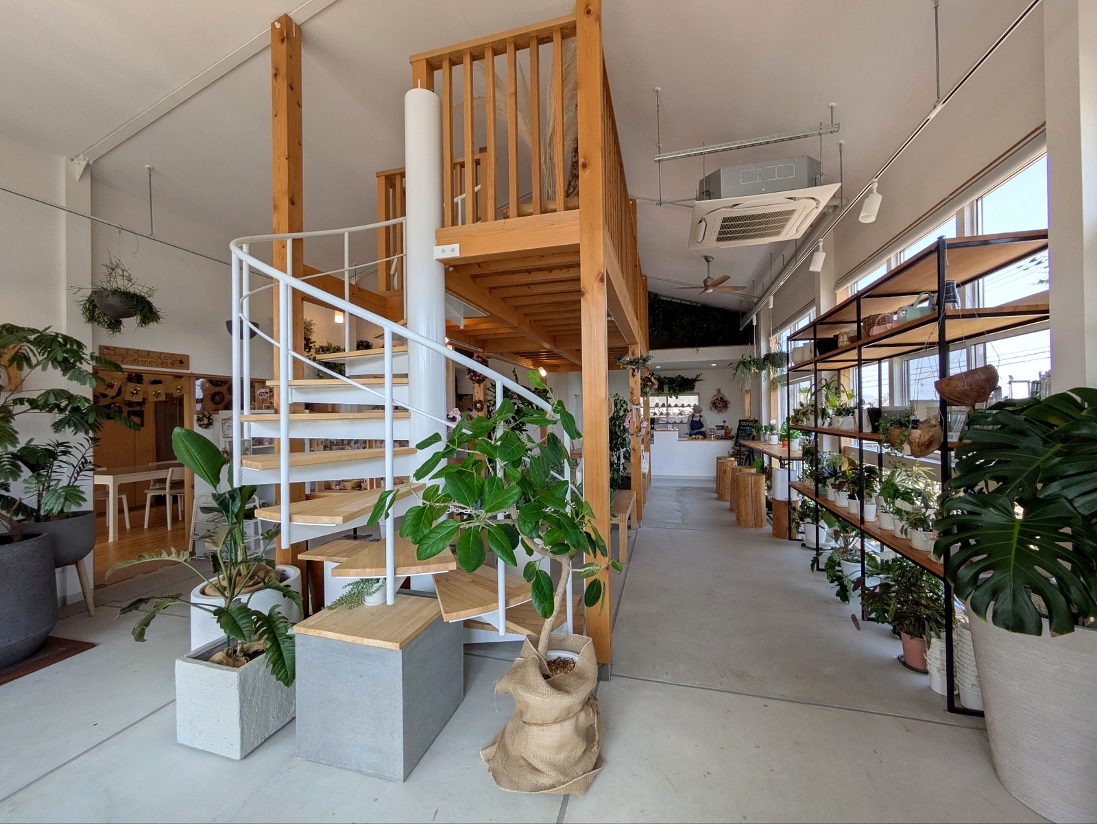 Polish_20260405_082931706