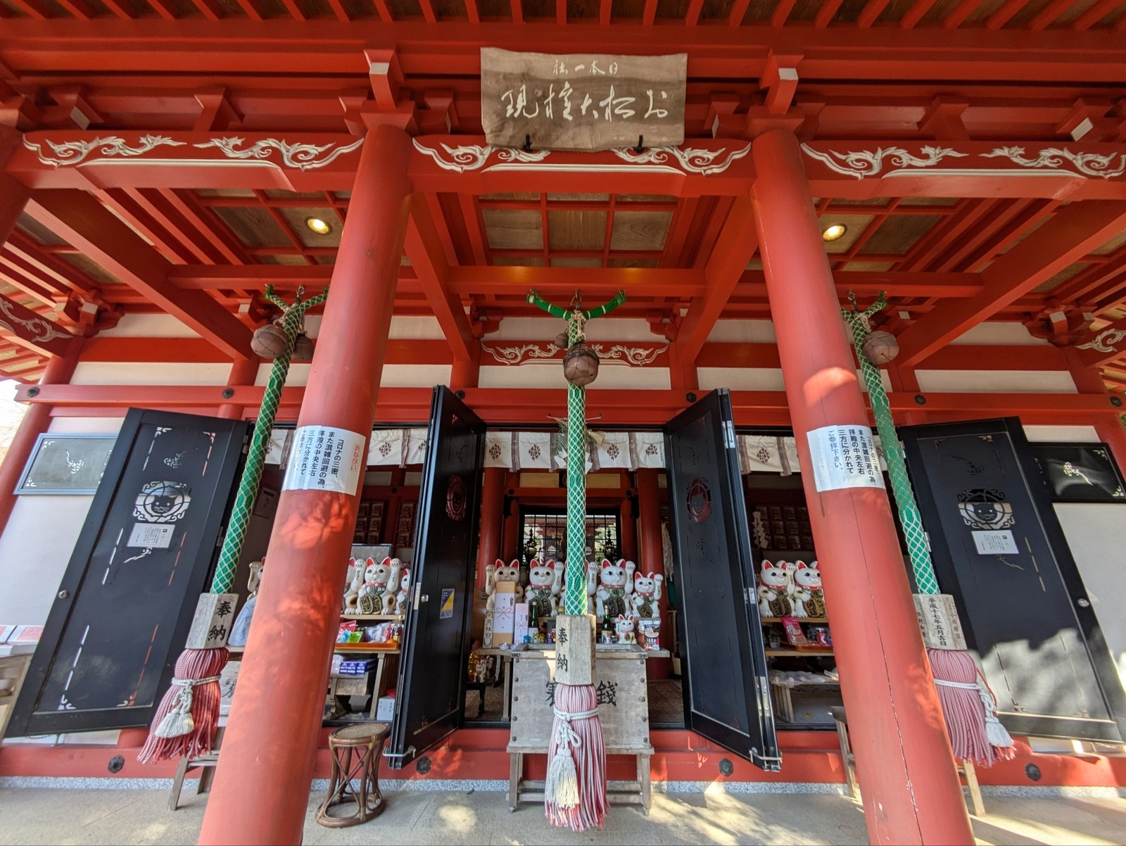 Polish_20260113_162133590