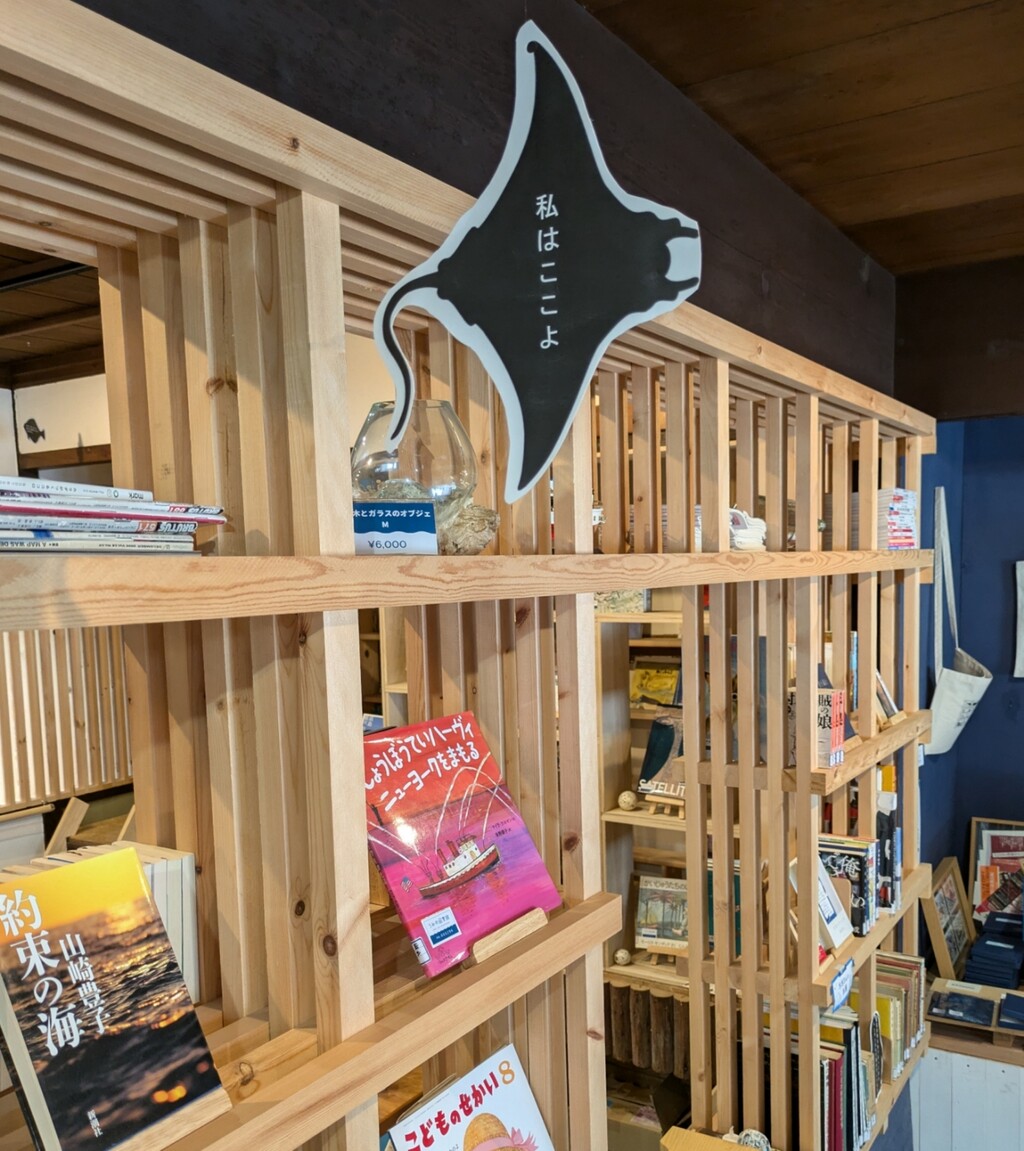 PXL_20240930_040019125