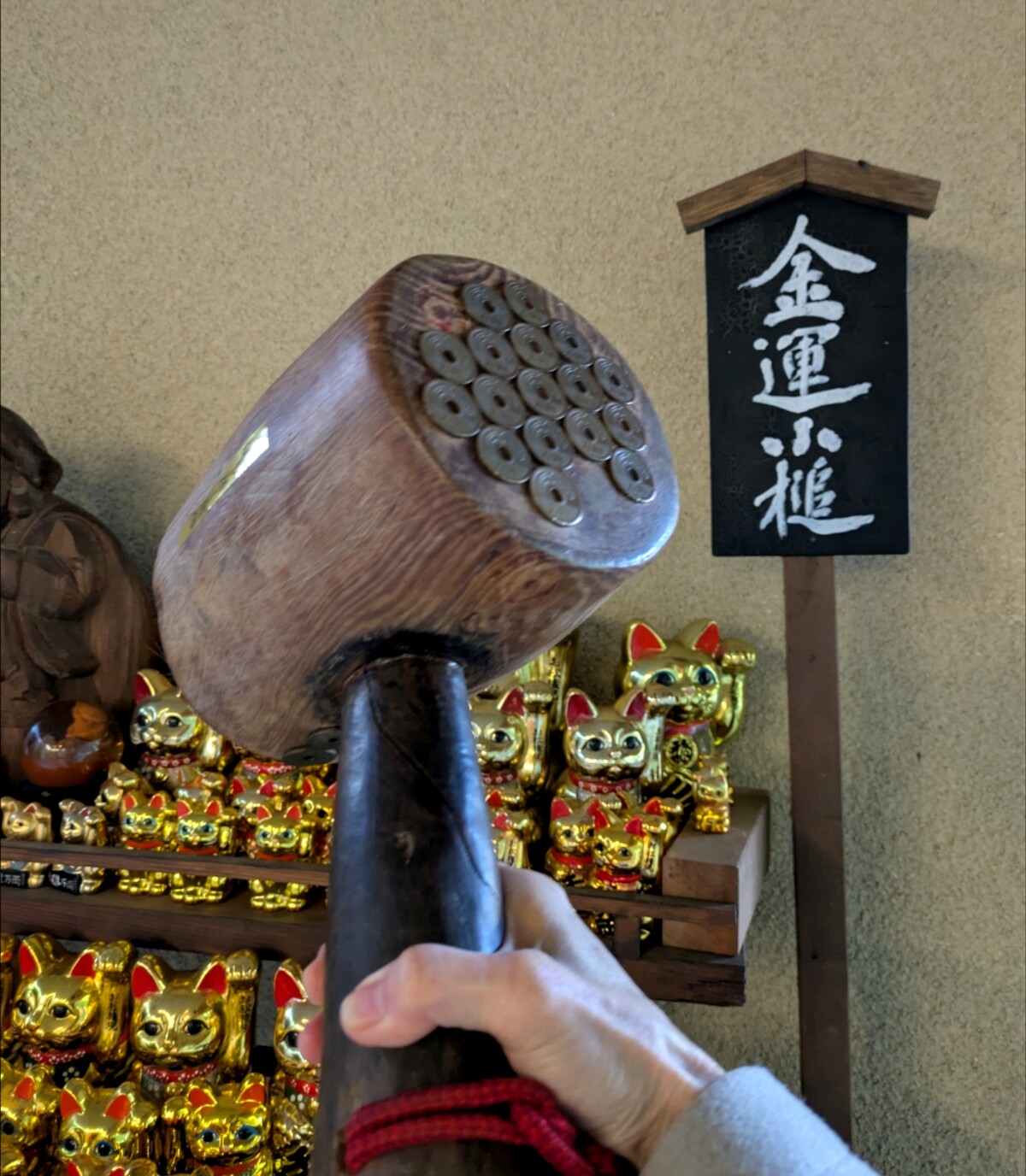 Polish_20260113_161834419