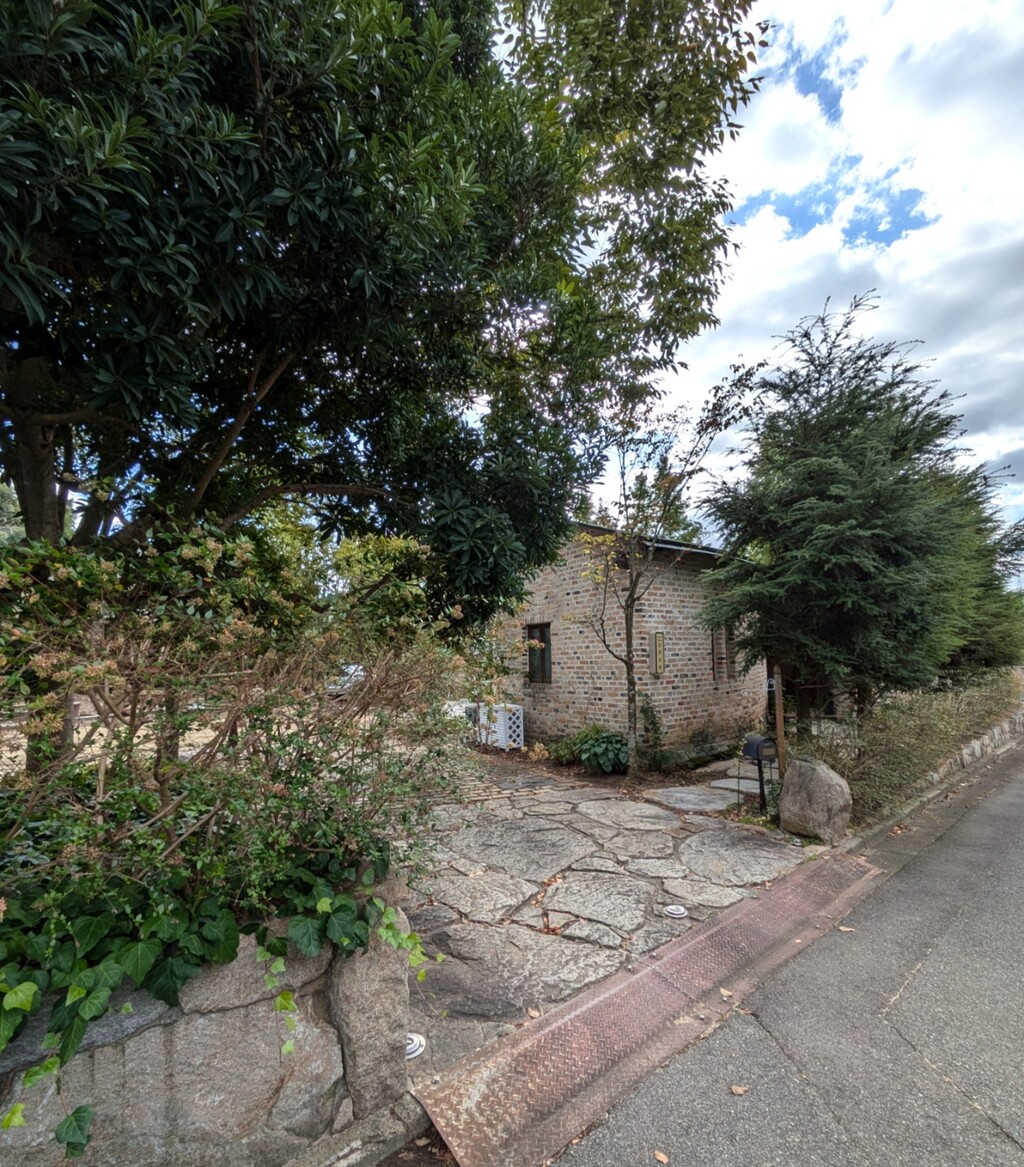 PXL_20241020_051217766