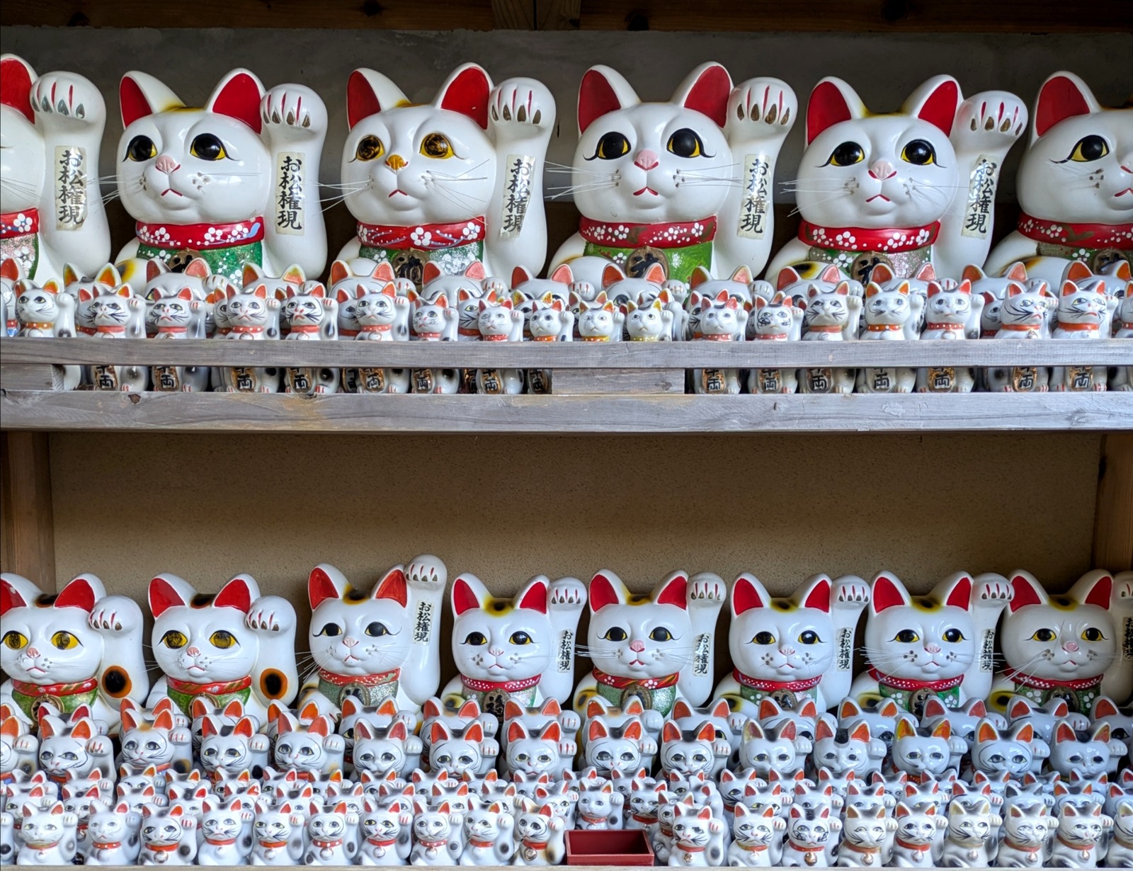 Polish_20260113_165507635