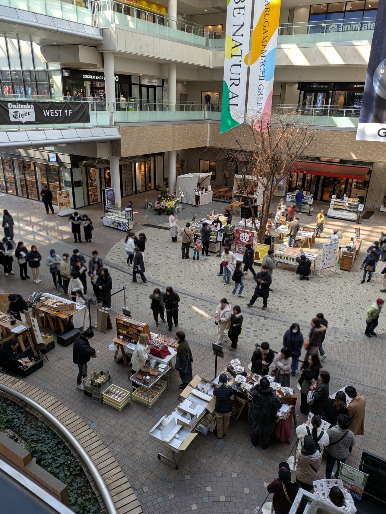 ぼかし丸_20250222_165615