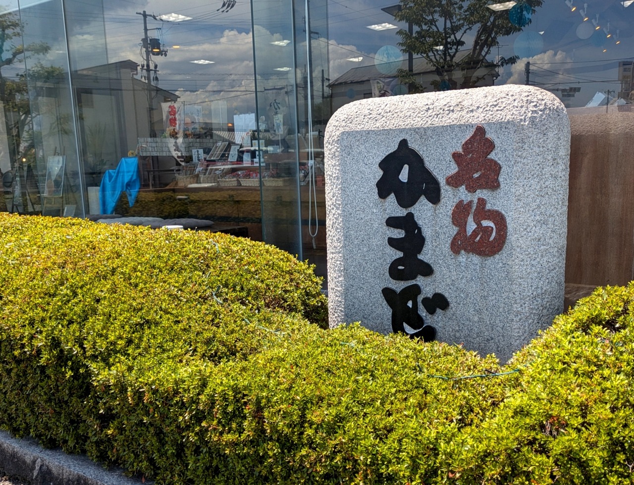 PXL_20250822_033406874