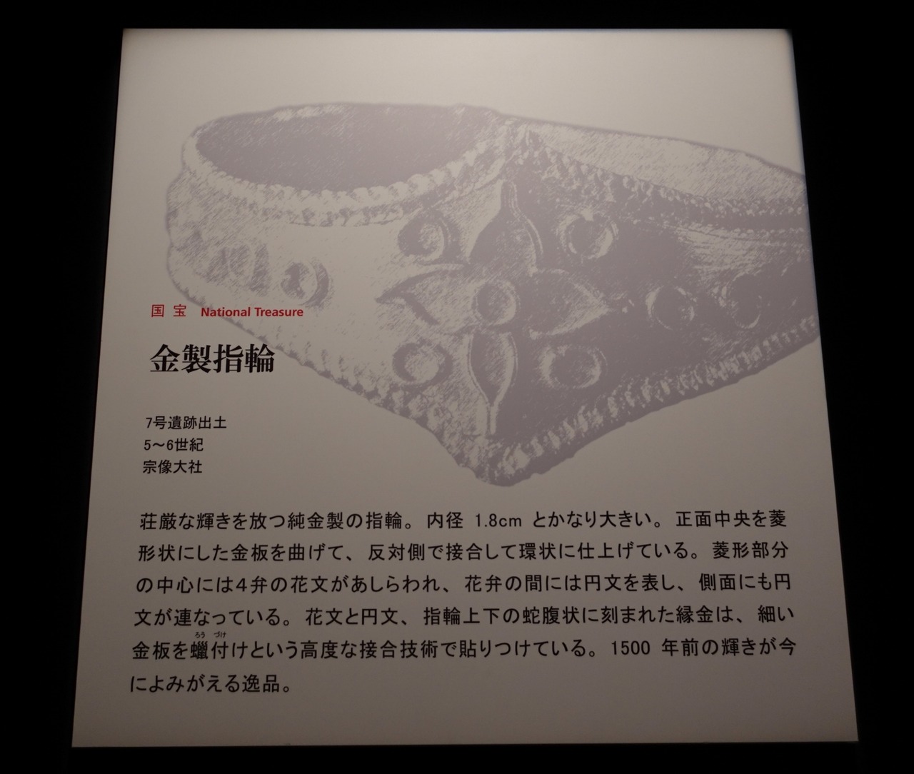 DSC05532_20231028212857052